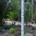 Photos: May Peace Prevail On Earth 9-20-20