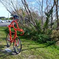 Photos: Red Bicyclist 12-31-20
