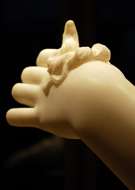 写真: Medusa's Hand