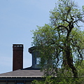 a Cupola and a Tree