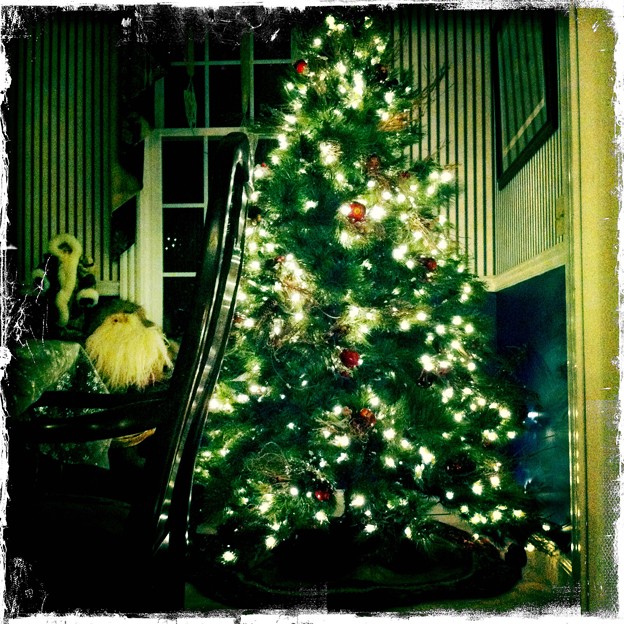 写真: O Christmas Tree No.1