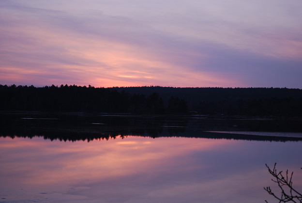 写真: Purple Sunset 12-11-10