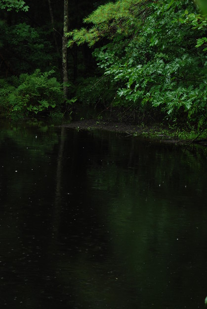 写真: Dark Pond