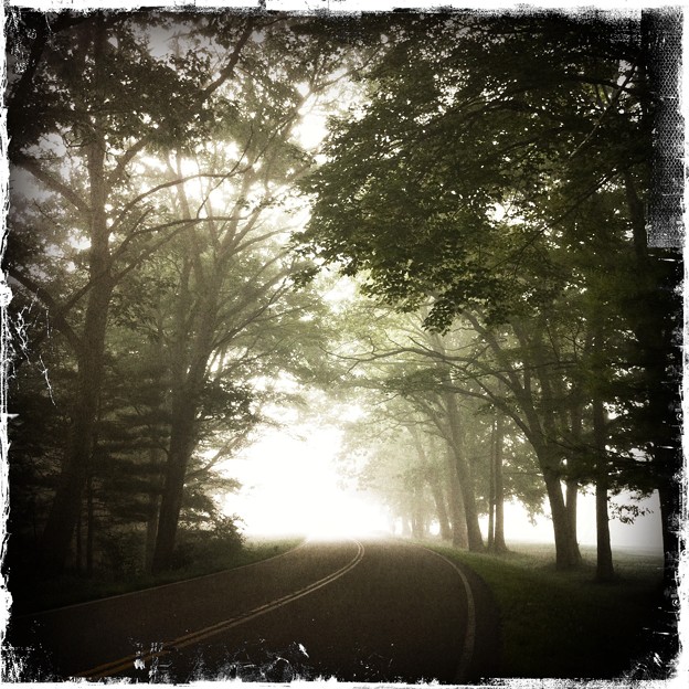 写真: The Trees and the Fog 8-18-11