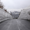 写真: GW東北旅行 八幡平の雪壁