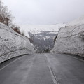 写真: GW東北旅行 八幡平の雪壁