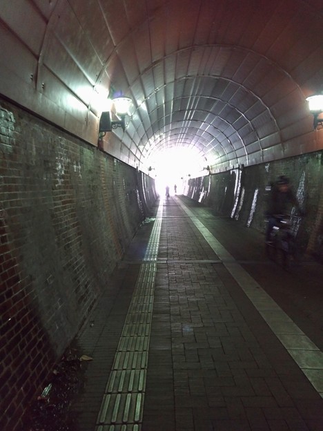 舞鶴 廃線跡のトンネル