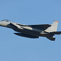 写真: F-15C ZZ 18WG/67FS FIGHTINGCOCKS AF 85-0105