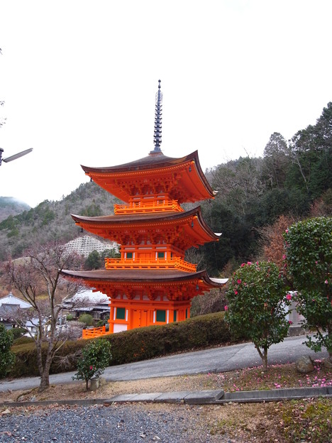 写真: 師走の長福寺三重塔