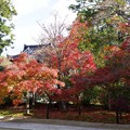 写真: 井山宝福寺の紅葉