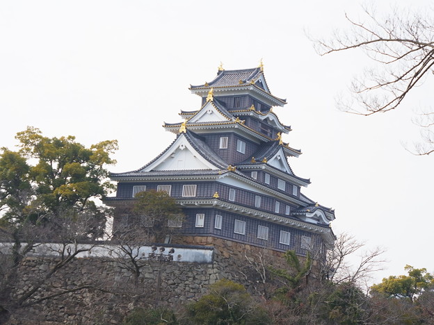 写真: 2月の岡山城眺望(2019年）