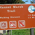 写真: Cape Cod-Nauset Marsh Trail