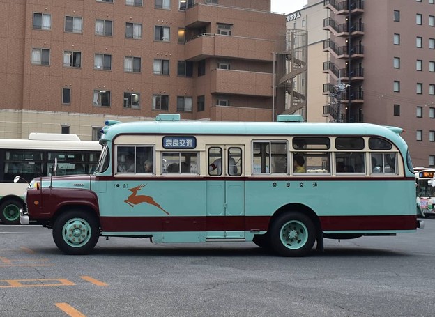 写真: 奈良交通  [ボンネットバス]
