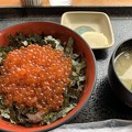 写真: 贅沢いくら丼！＠北海道一人旅