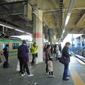 写真: ＪＲ藤沢駅東海道線ホーム