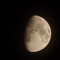写真: 十日夜の月