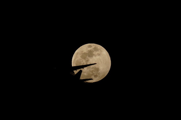 写真: 満月と翼