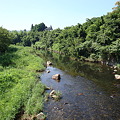 夏の川