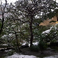 写真: 20110307雪の北鎌倉