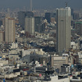 写真: 東京都庁からスカイツリーを望む