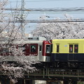 写真: 近鉄5820系×桜2018年