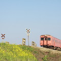 写真: いすみ鉄道キハ28・52