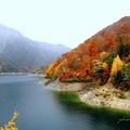 写真: 紅葉最前線：黒部湖