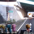 写真: リン：「この橋、ヤバい橋なのかぁ(≧▽≦)ゞ