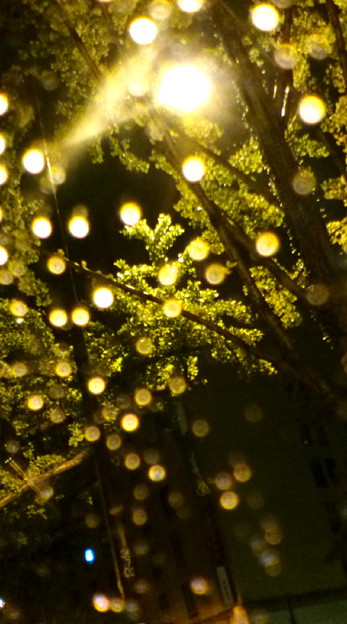 写真: ガラス越しの雨粒で、御堂筋...