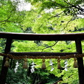 写真: 2017_0924_133240　野宮神社