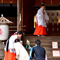 写真: 2017_1126_142712_世界遺産_宇治上神社