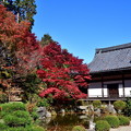 写真: 2018_1123_113741　京・西山・善峯寺