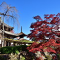 写真: 2018_1123_115124　京・西山・善峯寺