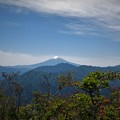 写真: 滝子山