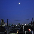 写真: 千住、荒川土手から見た霞み月_DSC_0943