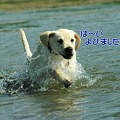 Photos: 水遊び 最高0002