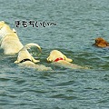 Photos: 水遊び 最高0010