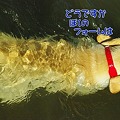 Photos: 水遊び 最高0012