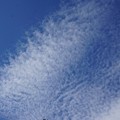 Photos: 空と雲