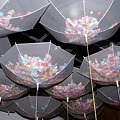写真: モトコー４　傘とフラワー_01