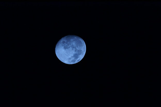 写真: 青い月