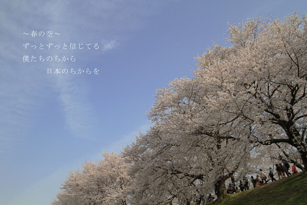 写真: 〜春の空〜
