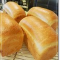 パン屋さんのパン教室で濃厚ミルク食パン