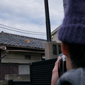 写真: 屋根の上のネコ02