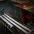 雨上がりのベンチ