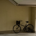 写真: 自転車