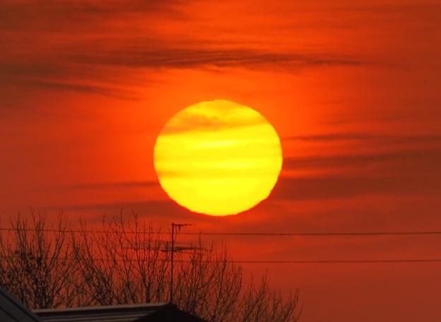 写真: 420mm の朝陽