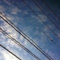 写真: 秋空と線
