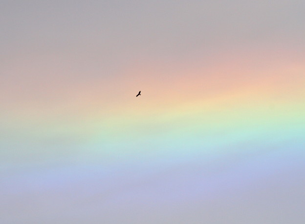 写真: 虹の空を征く