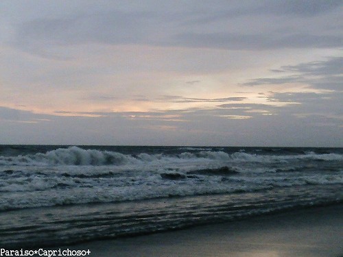 写真: バリ、最後の日の海